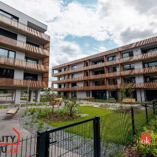 Pronájem bytu 1+kk a garsoniéry 35 m² Plzeň, Kartónová