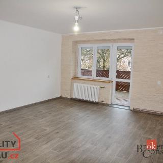 Pronájem bytu 3+1 66 m² Litvínov, Gorkého