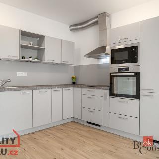 Pronájem bytu 2+kk 82 m² Plzeň, Goldscheiderova