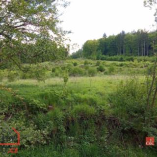 Prodej stavební parcely 22 894 m² Janská