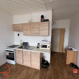 Prodej bytu 1+1 34 m² Chomutov, Kamenná