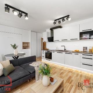 Prodej bytu 1+kk a garsoniéry 31 m² Praha, Davidovičova