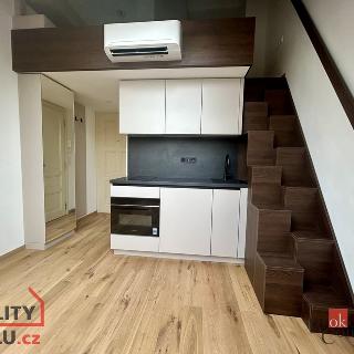 Prodej bytu 1+kk a garsoniéry 28 m² Praha, Studentská