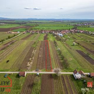 Prodej ostatního pozemku 1 280 m² Prušánky, 