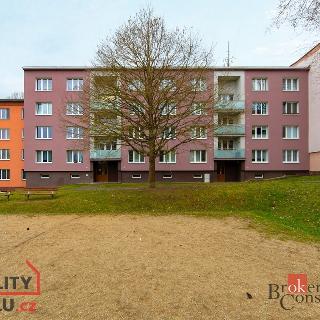 Prodej bytu 2+1 63 m² Cheb, Do Zátiší