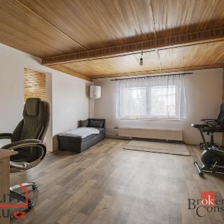 Prodej rodinného domu 870 m² Hrušky