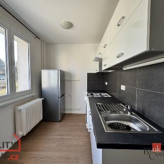 Pronájem bytu 1+1 41 m² Plzeň, Ke Kukačce