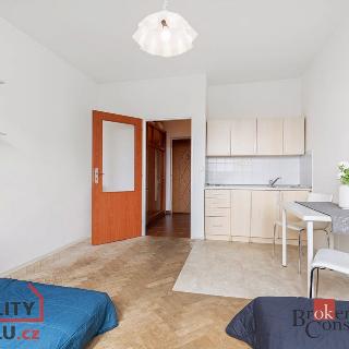 Prodej bytu 1+kk a garsoniéry 23 m² Brno, Halasovo náměstí