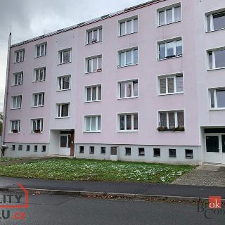 Pronájem bytu 2+kk 64 m² Planá, Fučíkova