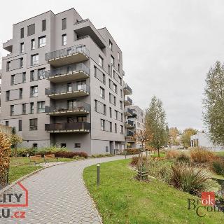 Pronájem bytu 3+kk 81 m² Liberec, Vítězná