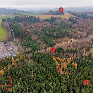 Prodej lesa 5425 m² Radčice