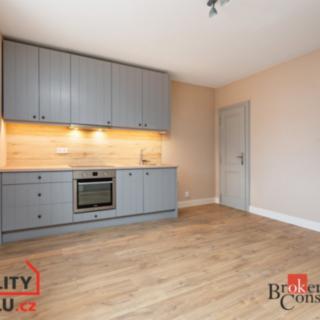 Pronájem bytu 1+1 37 m² Vochov