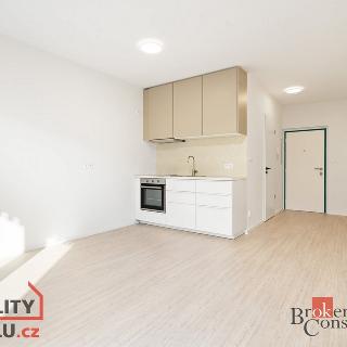 Pronájem bytu 1+kk a garsoniéry 33 m² Plzeň, Kartónová