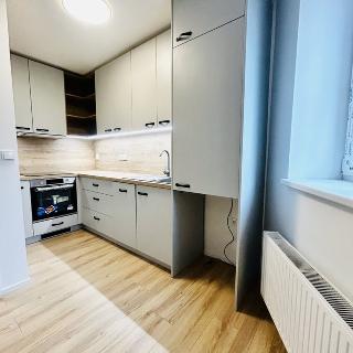 Pronájem bytu 1+kk a garsoniéry 25 m² Opava, Rolnická