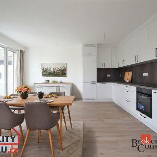 Pronájem bytu 3+kk 74 m², Polní