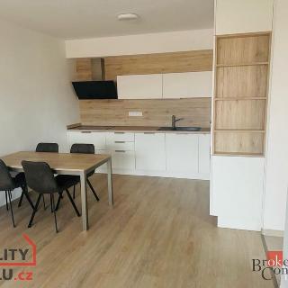 Pronájem bytu 2+kk 55 m² Plzeň, Sladová