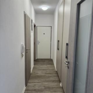 Pronájem bytu 3+kk 69 m² Plzeň Jižní Předměstí, Alešova