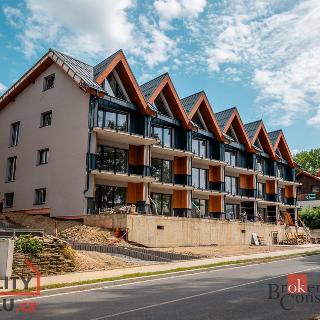 Prodej bytu 1+kk a garsoniéry 81 m² Železná Ruda, Javorská