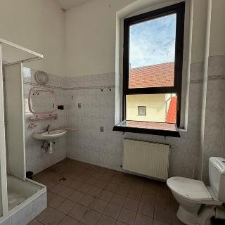 Prodej hotelu a penzionu 103 m² Mikulovice, Hlavní