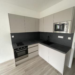 Pronájem bytu 1+kk a garsoniéry 23 m² Brno, Sokolova