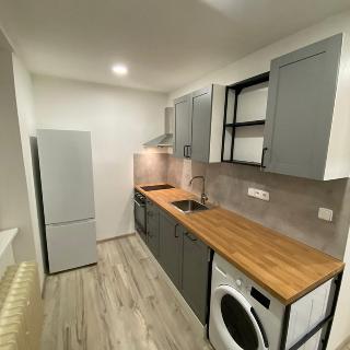 Pronájem bytu 2+1 52 m² Lovosice, Wolkerova