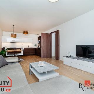 Pronájem bytu 3+kk 86 m² Praha, Nekvasilova