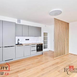 Prodej bytu 1+kk a garsoniéry 31 m² Praha, Ústecká