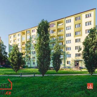 Prodej bytu 2+1 56 m² Chodov, Revoluční