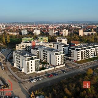 Prodej bytu 2+kk 82 m² Plzeň, Goldscheiderova