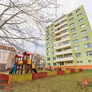 Prodej bytu 2+1 57 m² Znojmo, Palackého