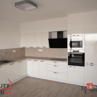 Pronájem bytu 2+kk 65 m² Plzeň, U Borského parku