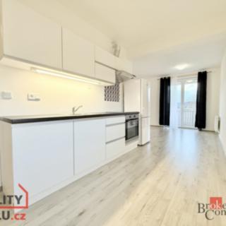 Prodej bytu 1+kk, garsoniery 39 m² Nová Role
