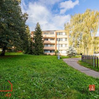 Prodej bytu 3+1 60 m² Praha, Cvikovská