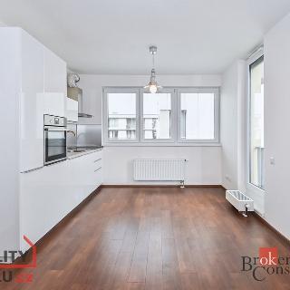 Pronájem bytu 1+kk a garsoniéry 29 m² Praha, Olgy Havlové