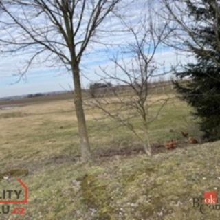 Prodej stavební parcely 3 221 m² Olešenka