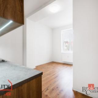 Prodej bytu 1+kk a garsoniéry 28 m² Ostrava, Palackého