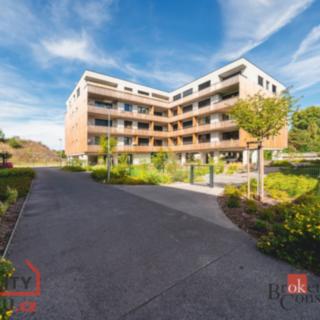 Pronájem bytu 1+kk, garsoniery 29 m² Plzeň