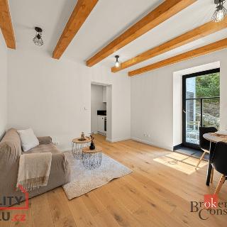 Prodej bytu 1+kk a garsoniéry 32 m² Bedřichov, 