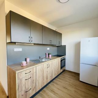 Pronájem bytu 2+1 54 m² Postoloprty, Draguš