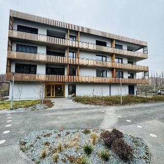 Pronájem bytu 2+kk 78 m² Plzeň, Kartónová