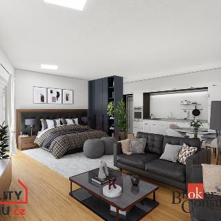 Pronájem bytu 1+kk a garsoniéry 89 m² Opava, Rolnická