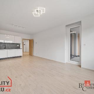 Pronájem bytu 2+kk 58 m² Hradec Králové, Pod Svahem