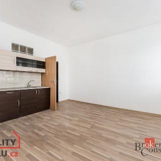 Pronájem bytu 1+kk a garsoniéry 30 m² Třebechovice pod Orebem, Masarykovo náměstí