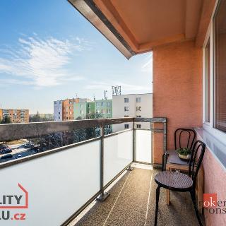 Prodej bytu 1+kk a garsoniéry 36 m² Brno, Běloruská