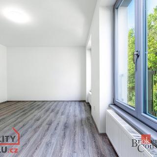 Pronájem bytu 1+kk a garsoniéry 32 m² Chrudim, Podkopanický mlýn