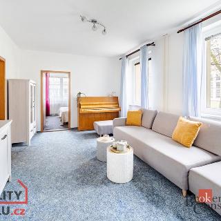 Prodej bytu 3+1 65 m² České Budějovice, Větrná