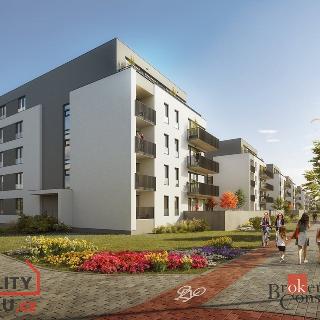 Prodej bytu 1+kk a garsoniéry 31 m² Plzeň, Goldscheiderova