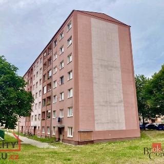 Prodej bytu 3+1 73 m² Ostrov, Severní