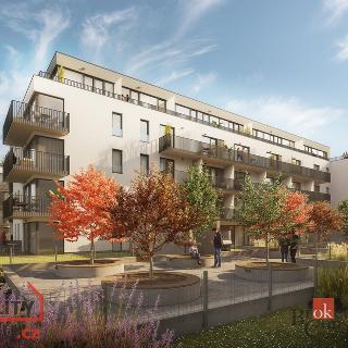 Prodej bytu 1+kk a garsoniéry 26 m² Plzeň, Goldscheiderova