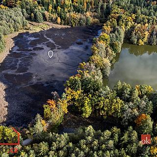 Prodej ostatních pozemků 64790 m² Chlum u Třeboně